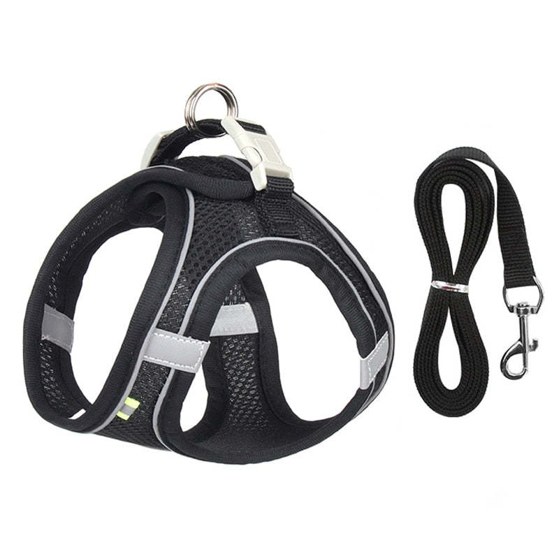 Adjustable Dog Harness Leash Set-Ziggy Dog Training Collar