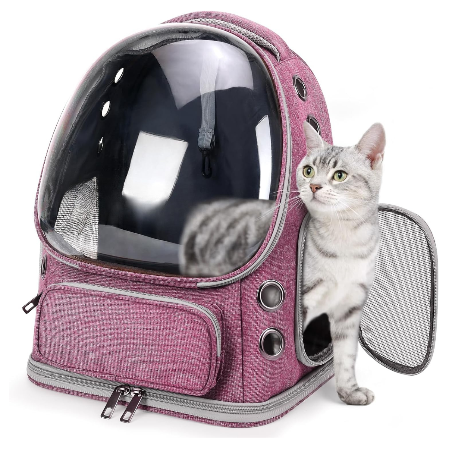 Expandable Bubble Travel Carrier Backpack for Cats And Dogs