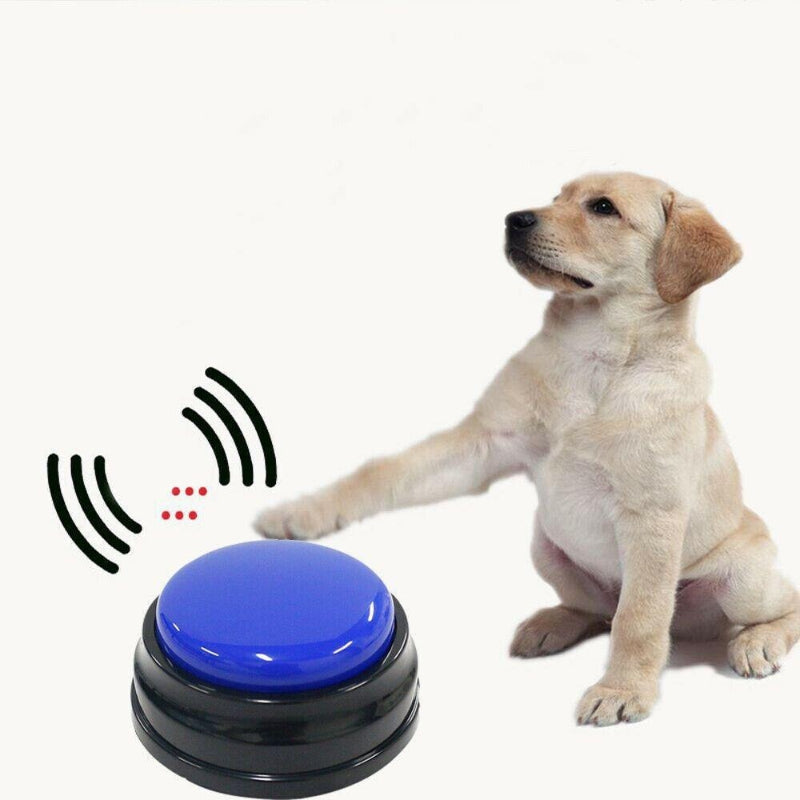 Recordable Funny Speaking Button Toys-Ziggy Dog Training Collar