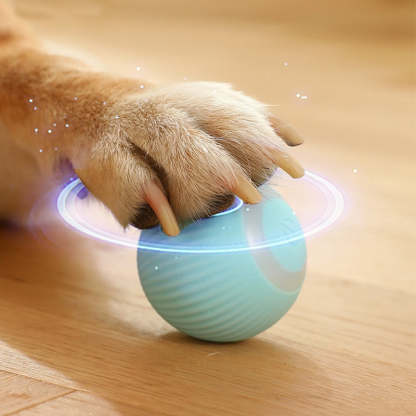 Electric Rolling Ball Pet Toys-Ziggy Dog Training Collar