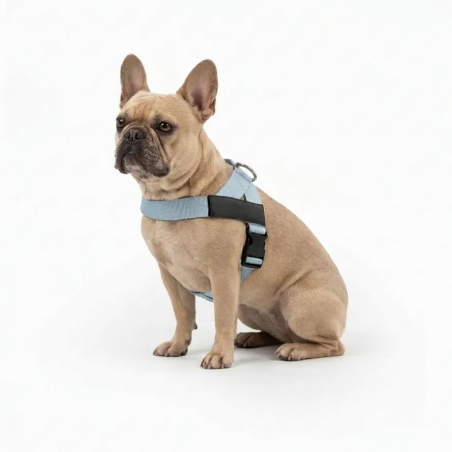 Adjustable Neck & Chafe Resistant Dog Harness
