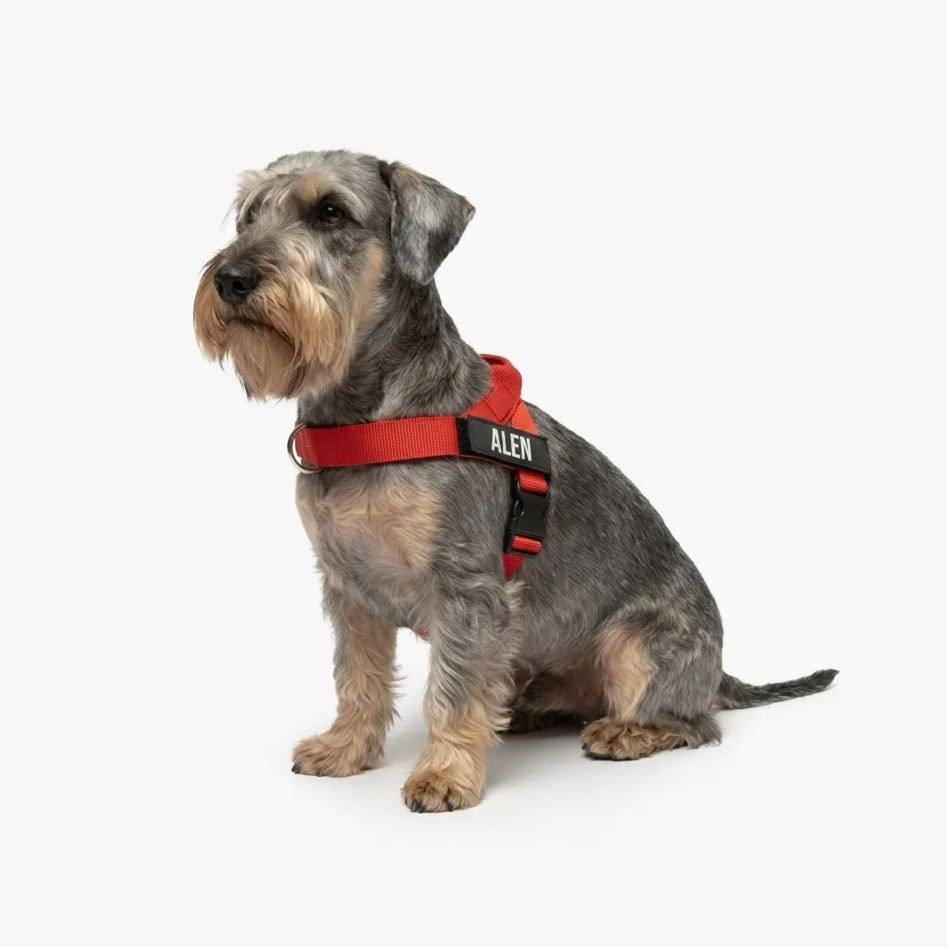 Adjustable Neck & Chafe Resistant Dog Harness
