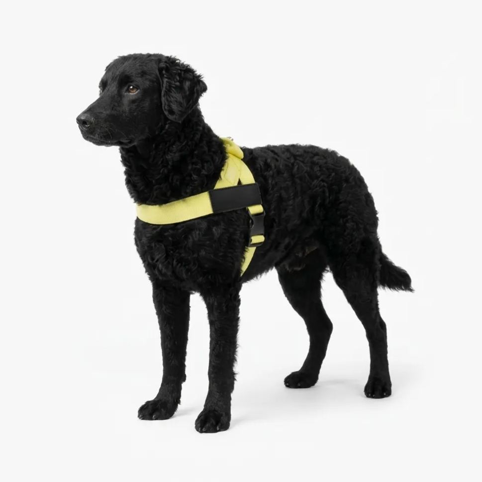 Adjustable Neck & Chafe Resistant Dog Harness