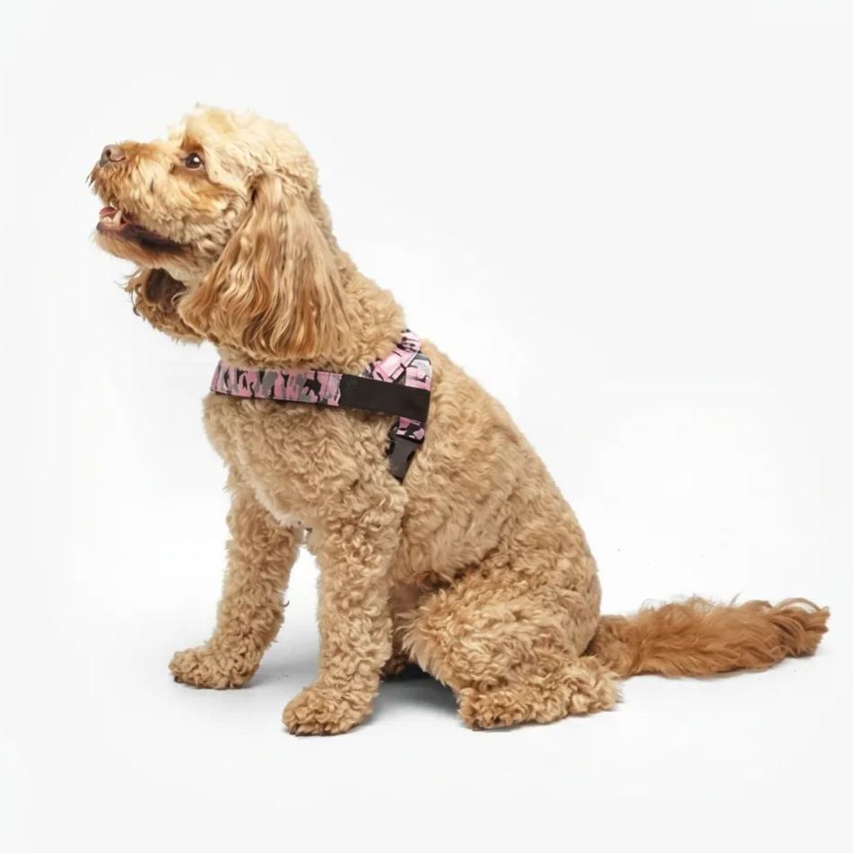 Adjustable Neck & Chafe Resistant Dog Harness
