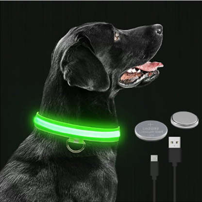 Adjustable LED Flashing Glowing Dog Collar-Ziggy Dog Training Collar