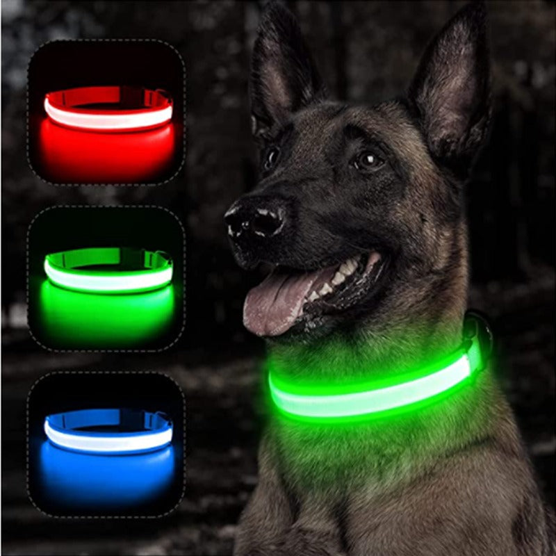 Rechargeable Adjustable LED Flashing Glowing Dog Collar-Ziggy Dog Training Collar