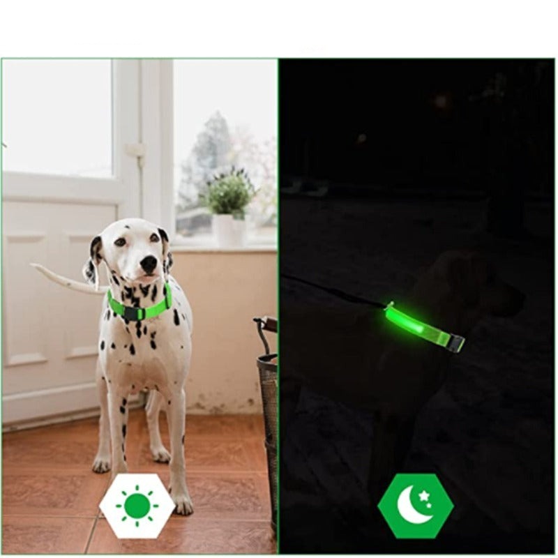 Rechargeable Adjustable LED Flashing Glowing Dog Collar-Ziggy Dog Training Collar