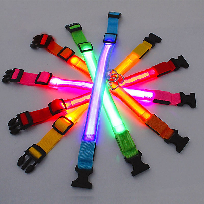 Adjustable LED Flashing Glowing Dog Collar-Ziggy Dog Training Collar