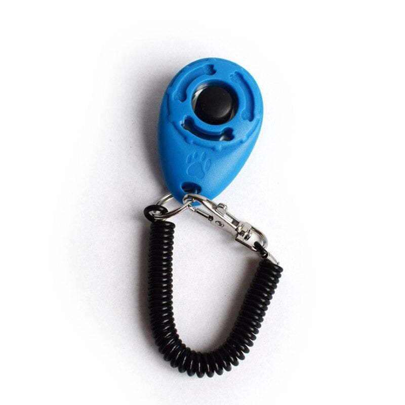 Adjustable Sound Key Chain For Pet-Ziggy Dog Training Collar