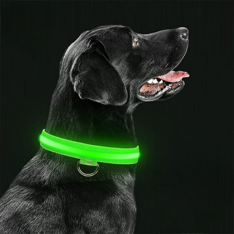 LED Glowing Rechargeable Dog Collars-Ziggy Dog Training Collar
