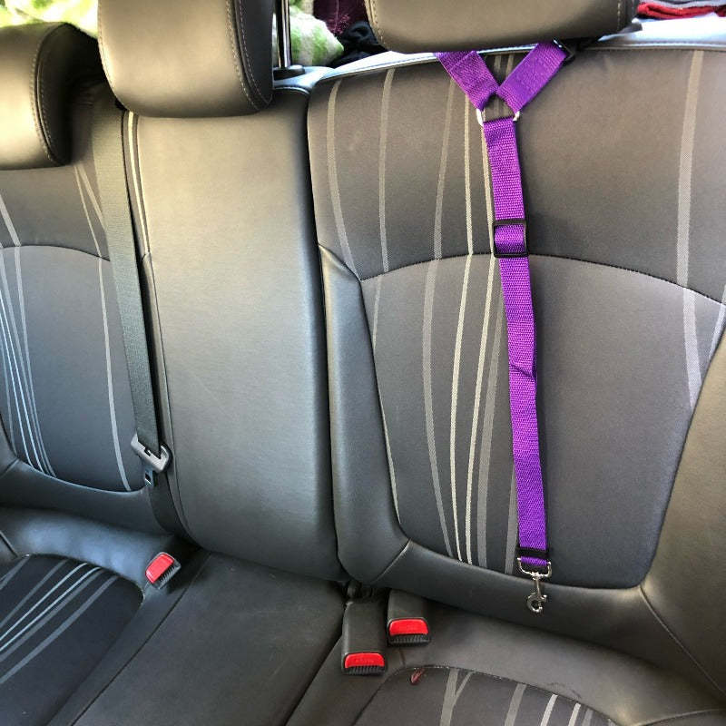 Adjustable Nylon Lead Leash Seat Belt-Ziggy Dog Training Collar