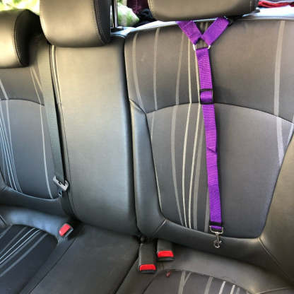 Adjustable Nylon Lead Leash Seat Belt-Ziggy Dog Training Collar