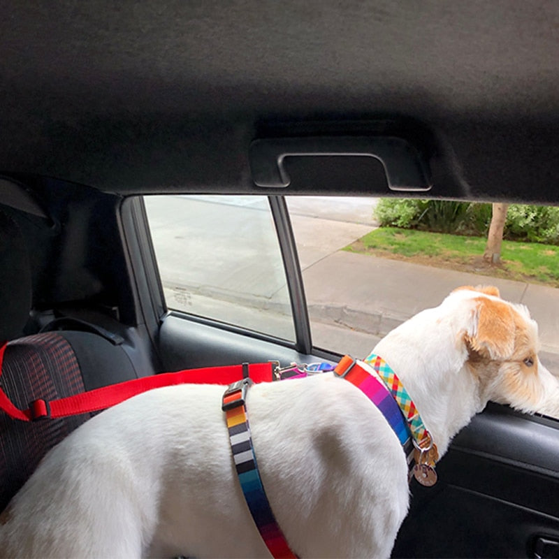 Adjustable Nylon Lead Leash Seat Belt-Ziggy Dog Training Collar
