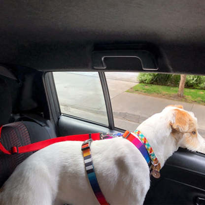 Adjustable Nylon Lead Leash Seat Belt-Ziggy Dog Training Collar