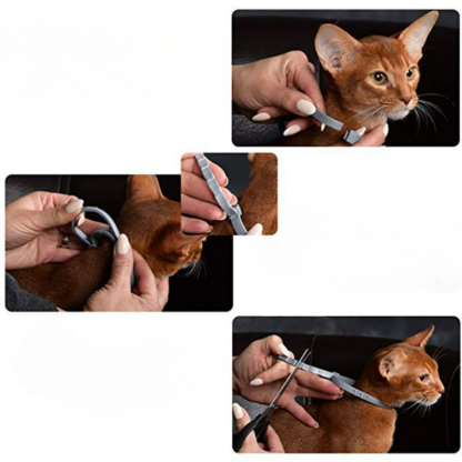 Pet Flea And Tick Collar For Cats-Ziggy Dog Training Collar