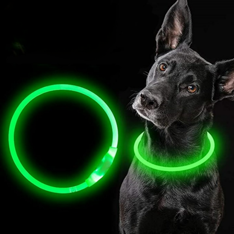 Detachable Glowing Led Light Luminous Leach-Ziggy Dog Training Collar