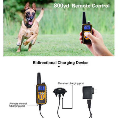 800m Electric Remote Control Waterproof Pet Training Collar-Ziggy Dog Training Collar