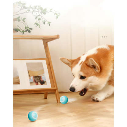 Electric Rolling Ball Pet Toys-Ziggy Dog Training Collar
