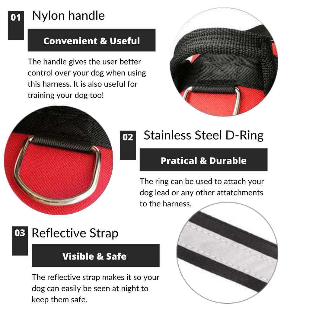 Custom No Pull Dog Harness with Name and Phone Number, Heavy Duty Personalized Pet Vest-Ziggy Dog Training Collar