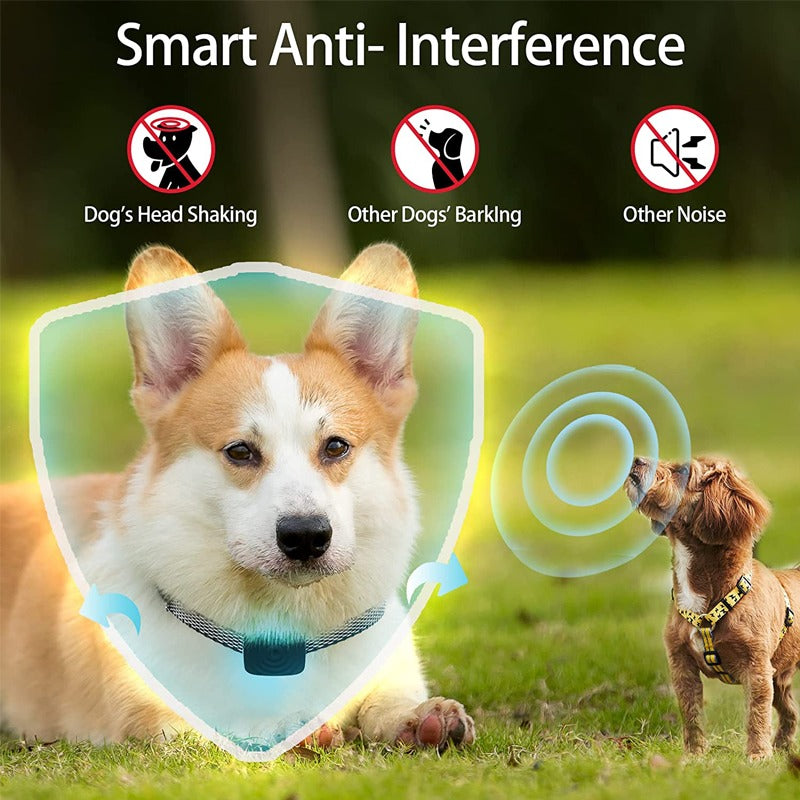 Pet Dogs USB Ultrasonic Anti Bark Device-Ziggy Dog Training Collar