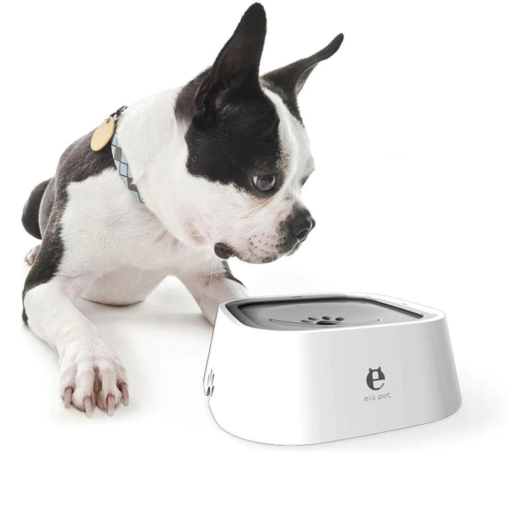 Water Dispenser Pet Bowl-Ziggy Dog Training Collar