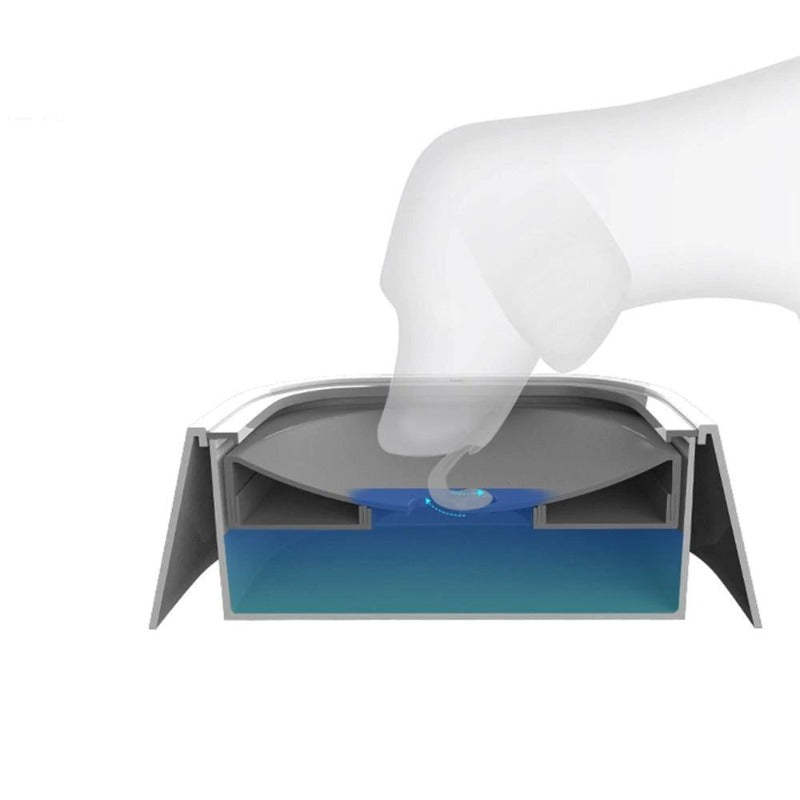 Water Dispenser Pet Bowl-Ziggy Dog Training Collar