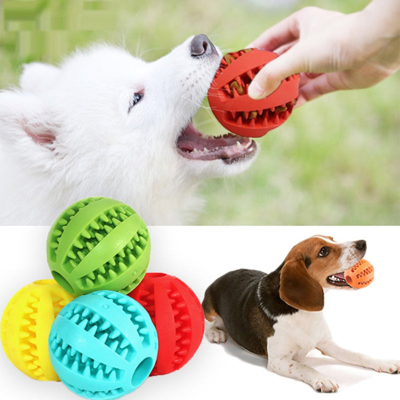 Pet Dog Tooth Cleaning Indestructible Ball-Ziggy Dog Training Collar