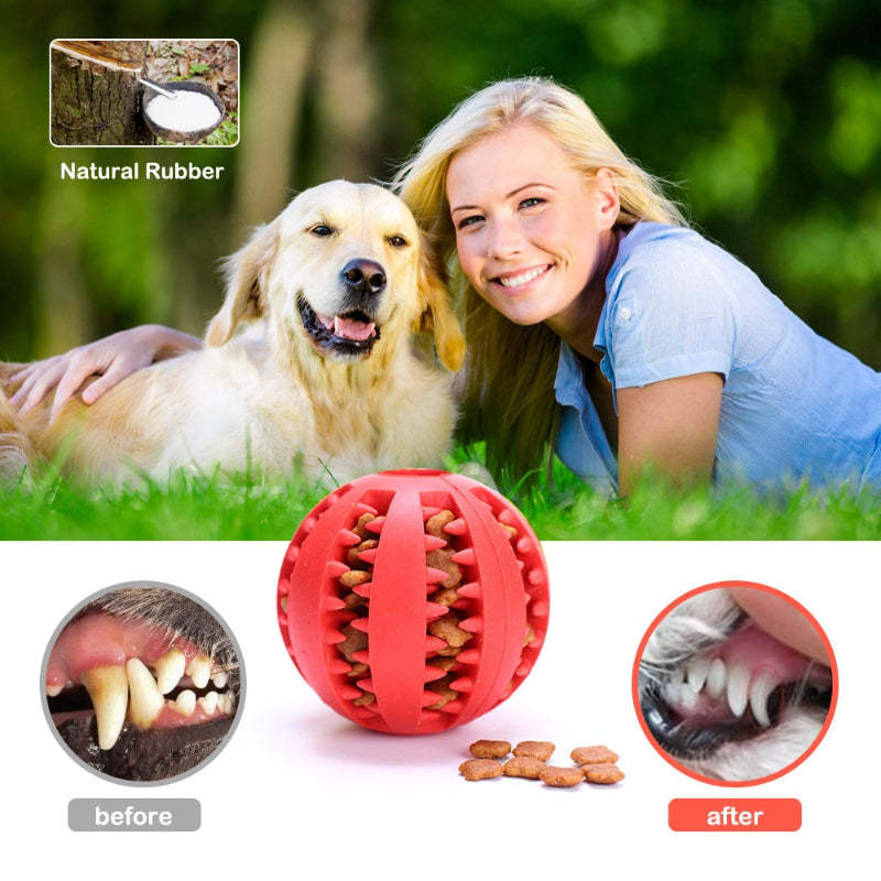 Pet Dog Tooth Cleaning Indestructible Ball-Ziggy Dog Training Collar