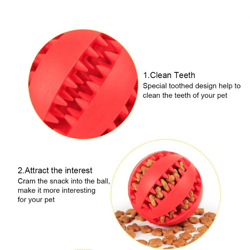 Pet Dog Tooth Cleaning Indestructible Ball-Ziggy Dog Training Collar