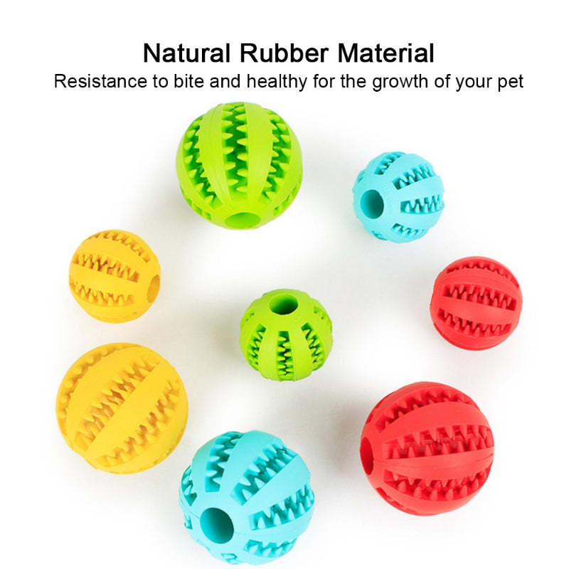 Pet Dog Tooth Cleaning Indestructible Ball-Ziggy Dog Training Collar