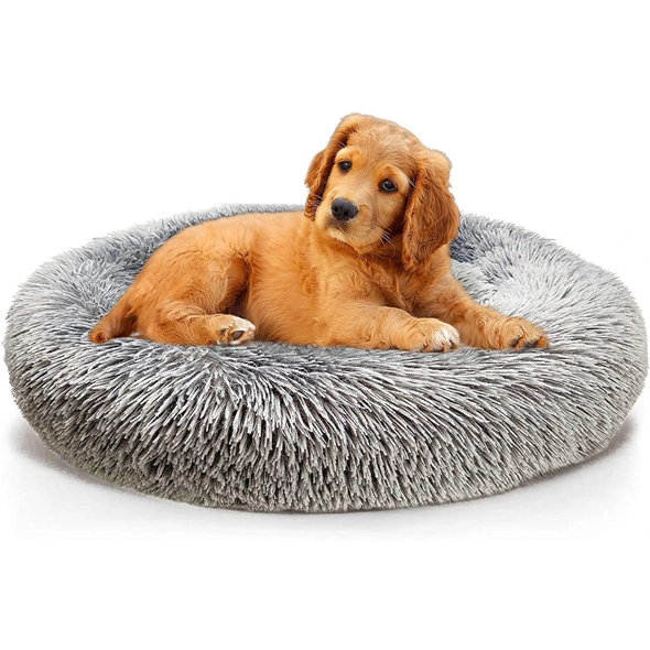 Best Soft Comfy Calming Pet Bed Veterinarian Approved Dog Bed-Ziggy Dog Training Collar