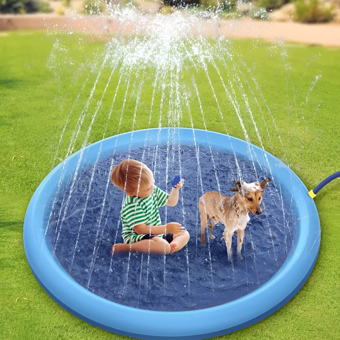 Foldable Pet Water Spray Tub