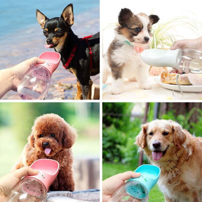 Portable Pet Water Bottle-Ziggy Dog Training Collar