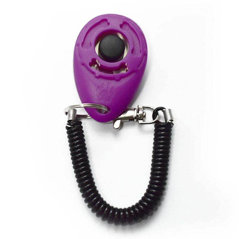 Adjustable Training Sound Key Chain For Pet-Ziggy Dog Training Collar