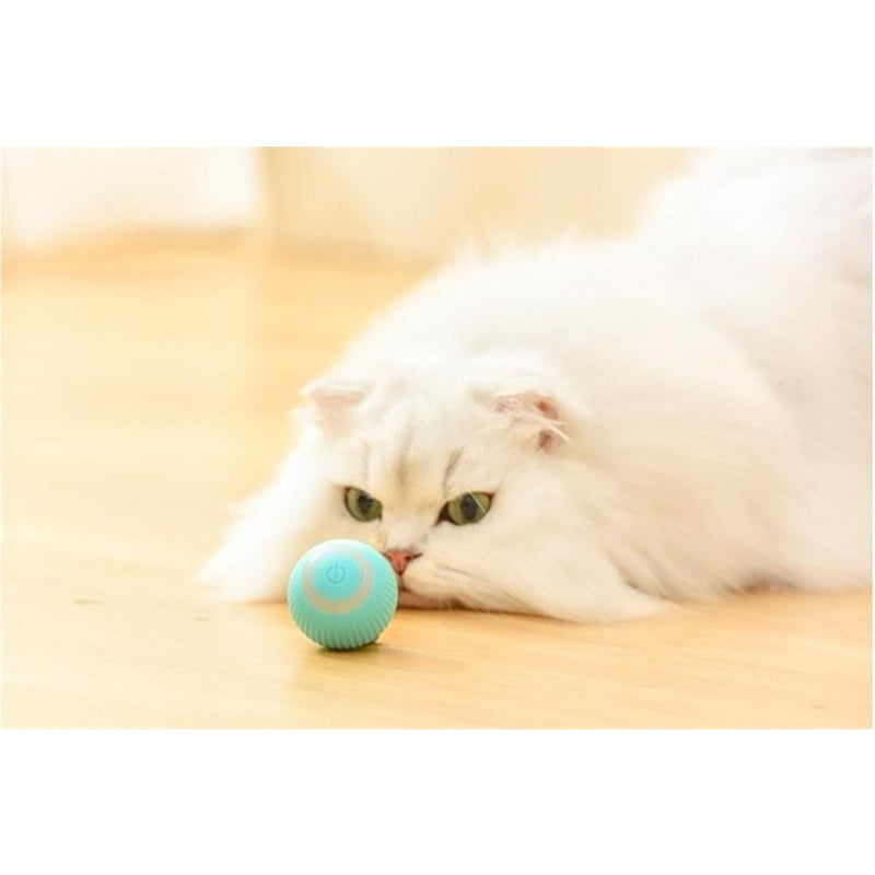 Electric Rolling Ball Pet Toys-Ziggy Dog Training Collar