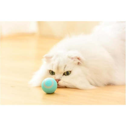 Electric Rolling Ball Pet Toys-Ziggy Dog Training Collar