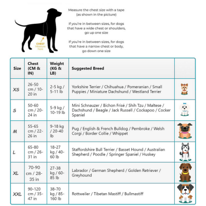 Custom No Pull Dog Harness with Name and Phone Number, Heavy Duty Personalized Pet Vest-Ziggy Dog Training Collar