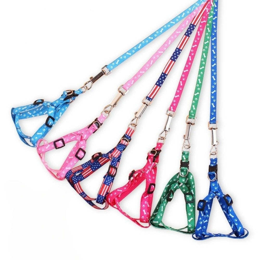 Durable Leash For Dogs-Ziggy Dog Training Collar