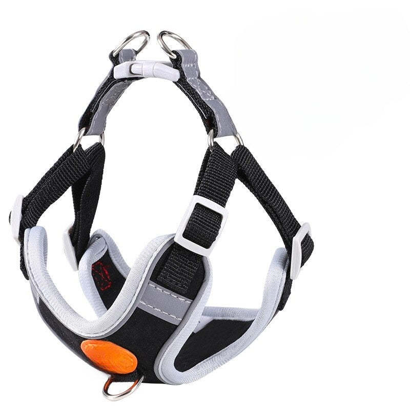 No Pull Breathable Reflective Dog Harness With Leash-Ziggy Dog Training Collar