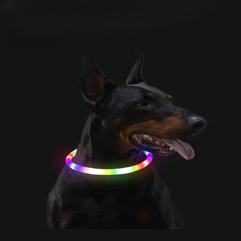 Led Luminous USB Dog Collar-Ziggy Dog Training Collar