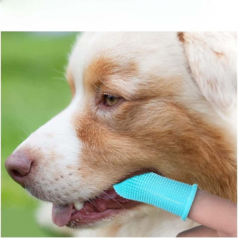 Finger Toothbrush For Dog Teeth Cleaning-Ziggy Dog Training Collar