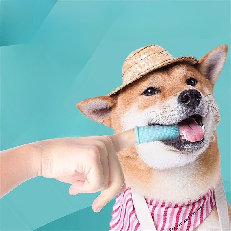 Silicone Toothbrush Tool For Dog-Ziggy Dog Training Collar