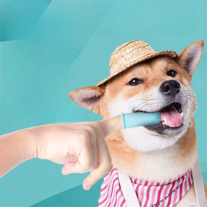 Silicone Toothbrush Tool For Dog-Ziggy Dog Training Collar