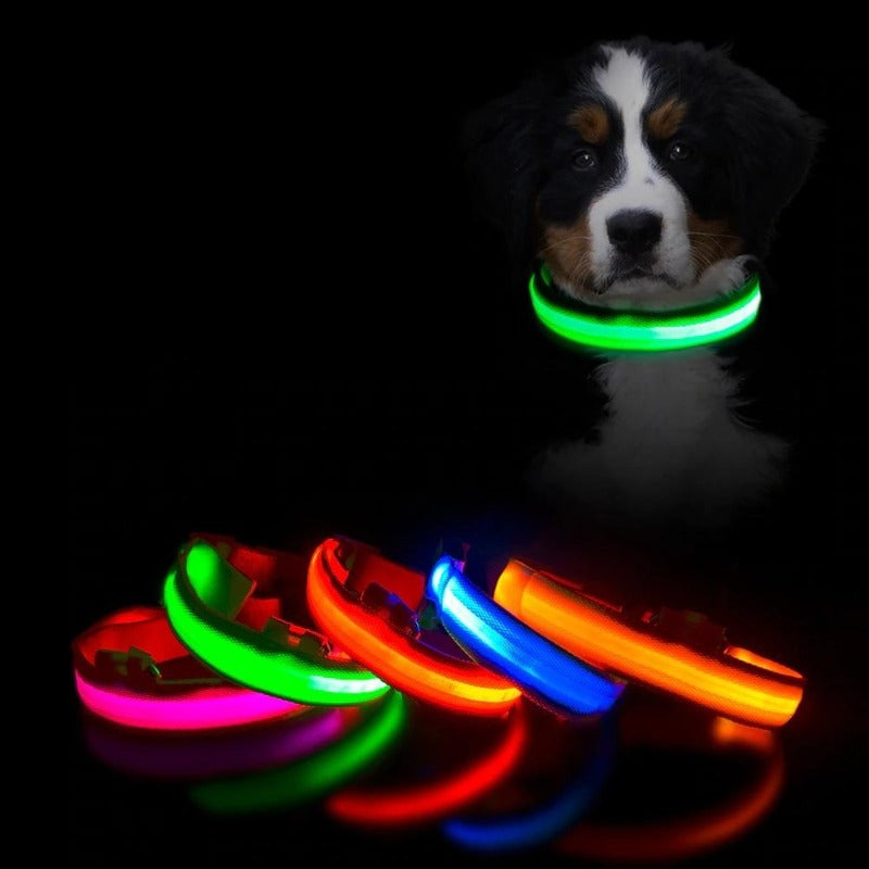 LED Dog Collar-Ziggy Dog Training Collar