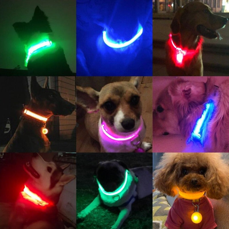 LED Dog Collar-Ziggy Dog Training Collar