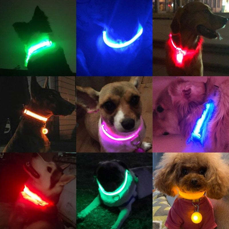 LED Dog Collar-Ziggy Dog Training Collar
