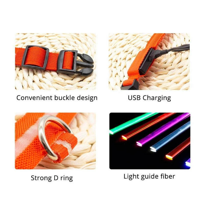 LED Dog Collar-Ziggy Dog Training Collar