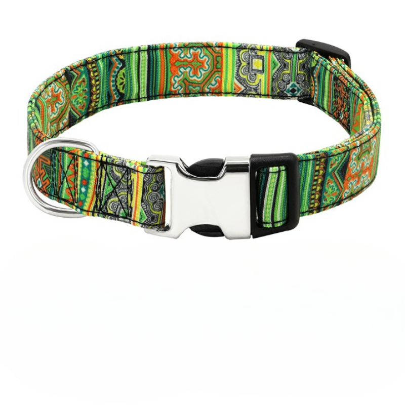 Engraved Name Collar For Dogs-Ziggy Dog Training Collar