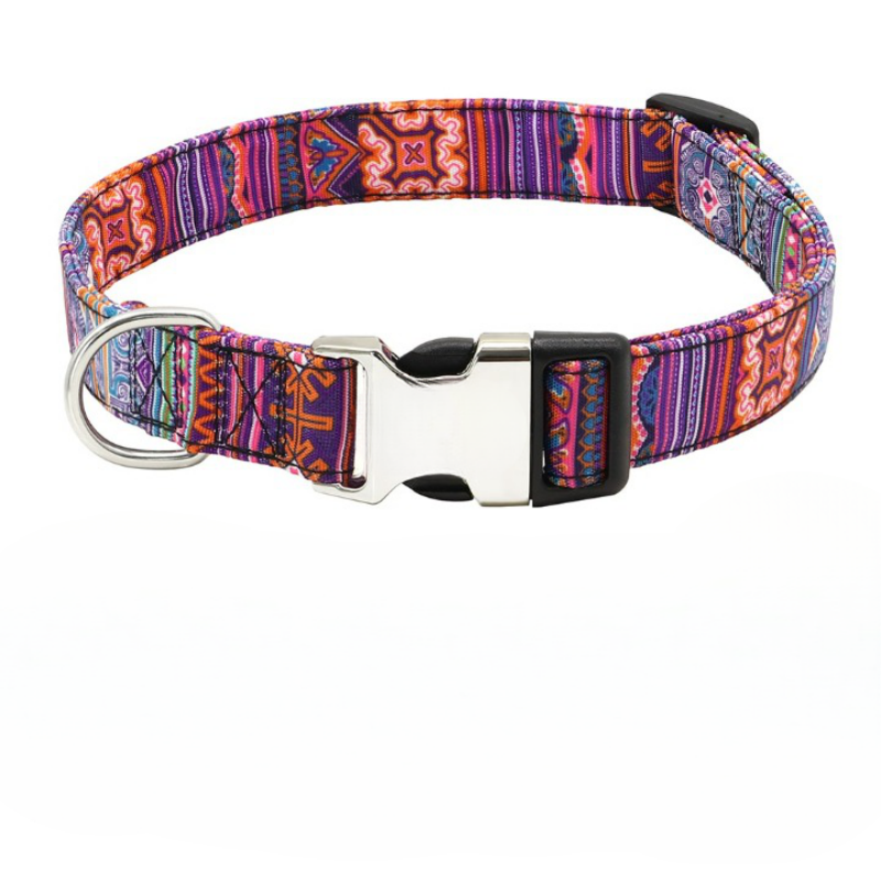 Engraved Name Collar For Dogs-Ziggy Dog Training Collar