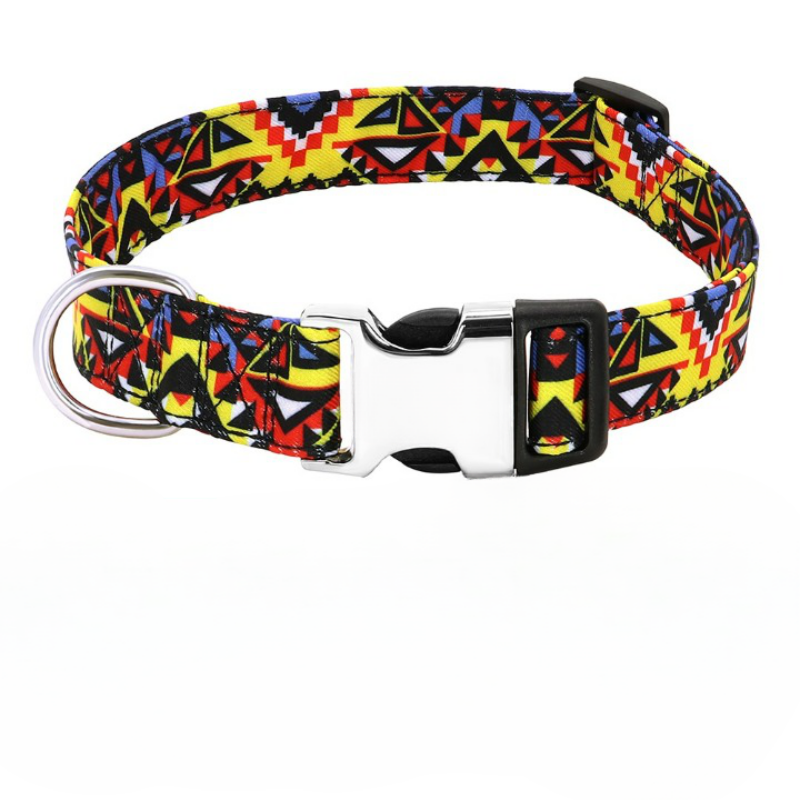 Engraved Name Collar For Dogs-Ziggy Dog Training Collar